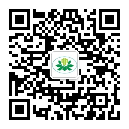 手机版二维码